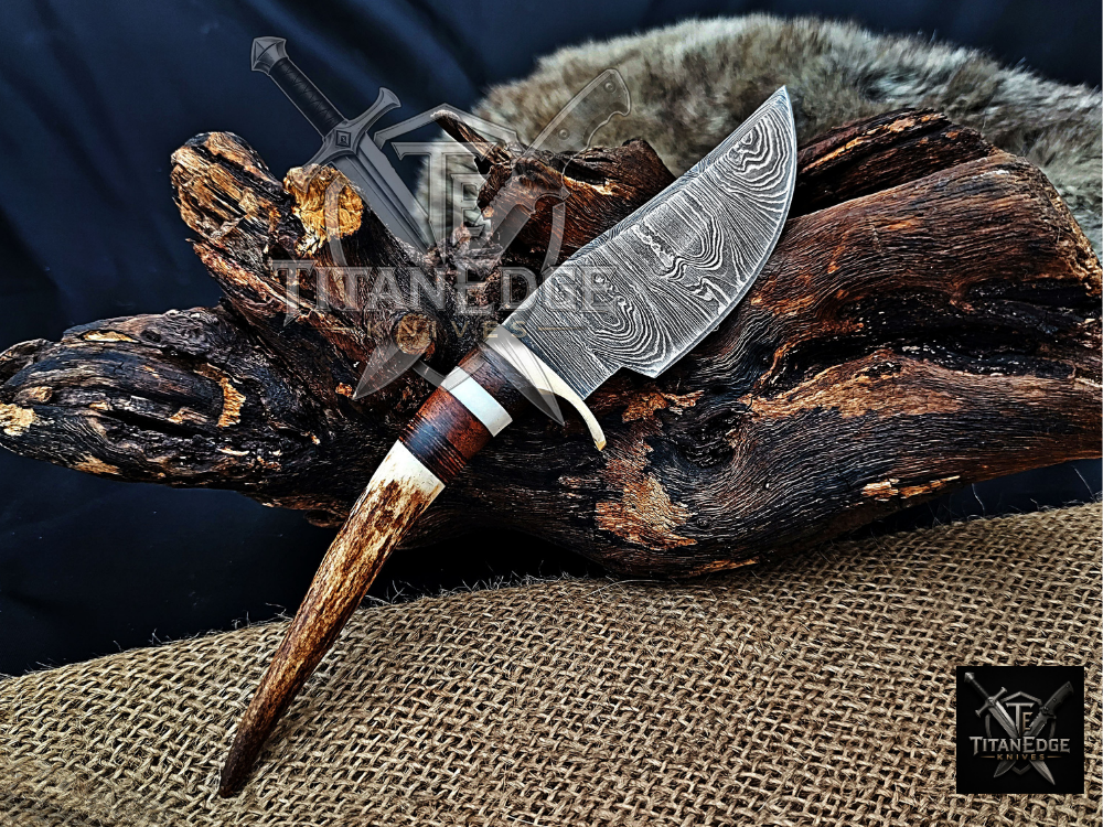 8" Damascus Skinning Knife – Stag & Wood Handle