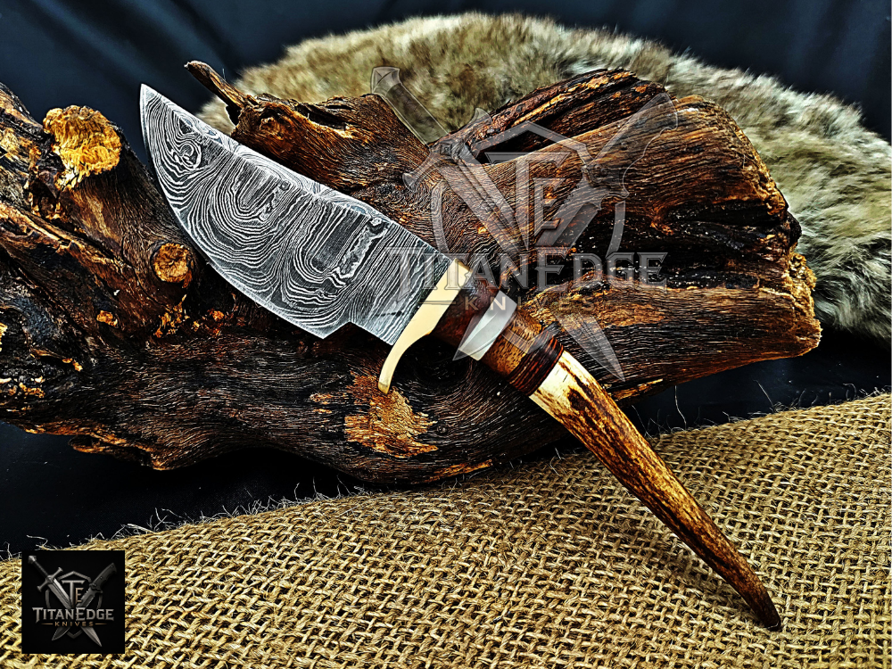 8" Damascus Skinning Knife – Stag & Wood Handle