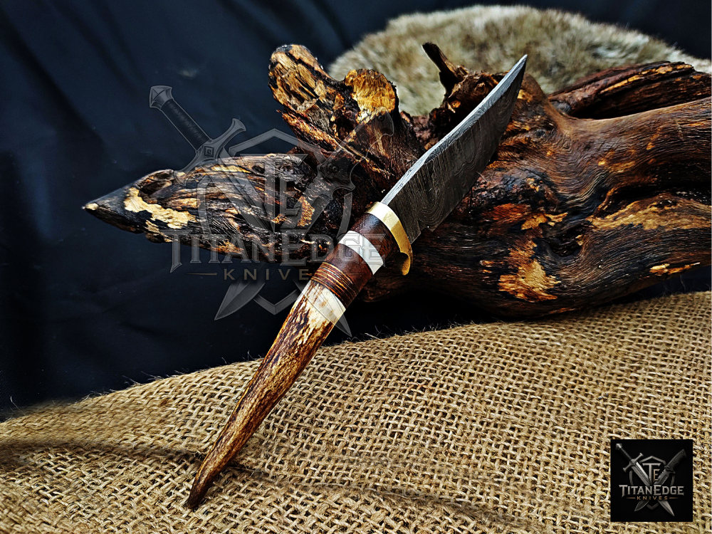 8" Damascus Skinning Knife – Stag & Wood Handle