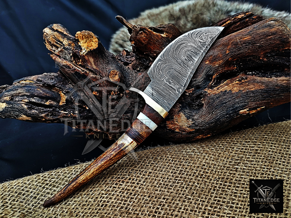 8" Damascus Skinning Knife – Stag & Wood Handle