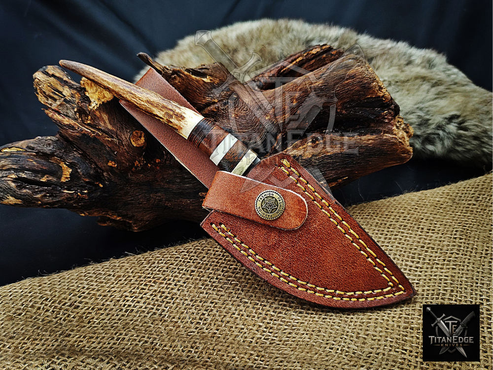 8" Damascus Skinning Knife – Stag & Wood Handle