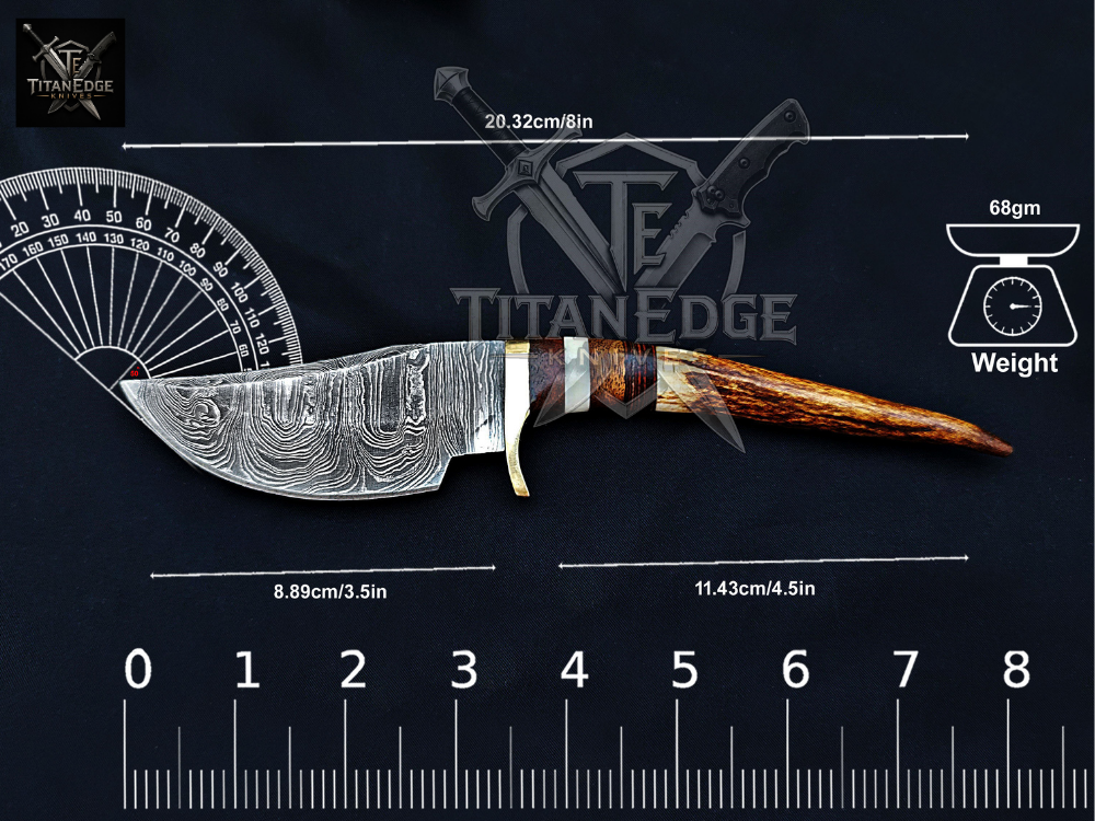 8" Damascus Skinning Knife – Stag & Wood Handle