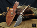 8" Damascus Skinning Knife – Stag & Wood Handle