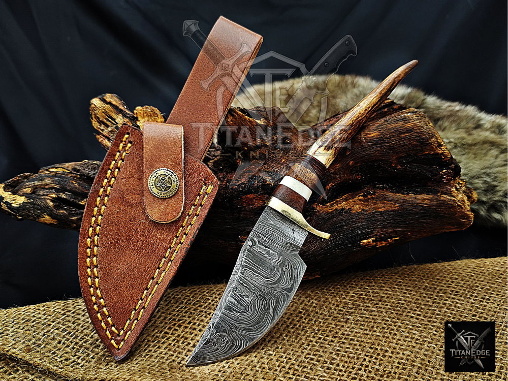 8" Damascus Skinning Knife – Stag & Wood Handle