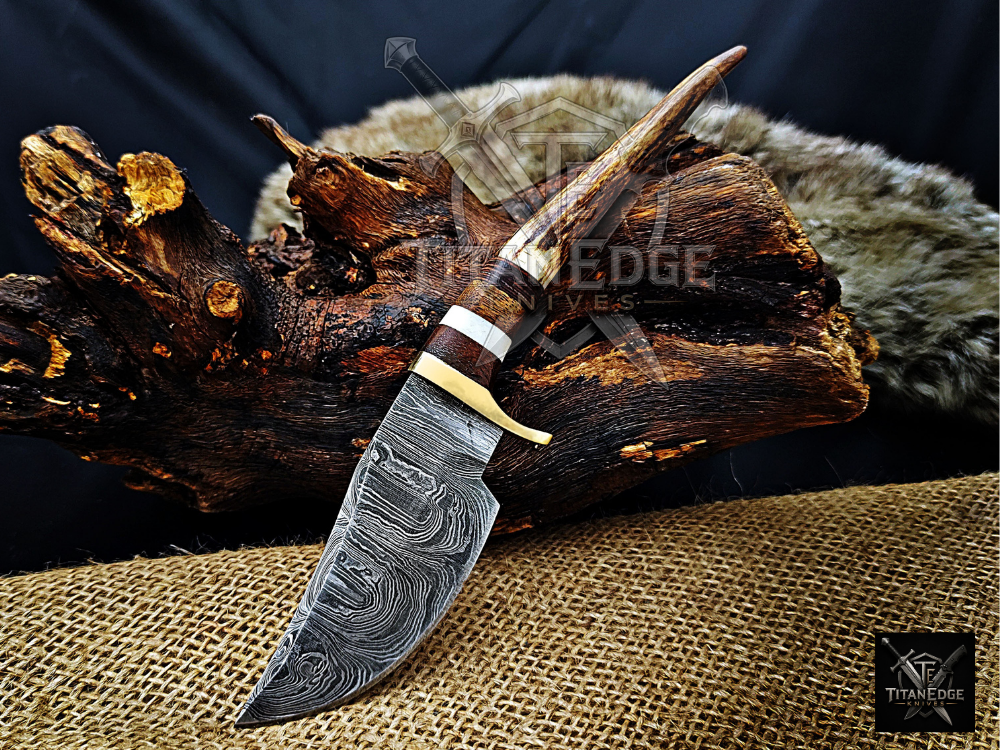 8" Damascus Skinning Knife – Stag & Wood Handle
