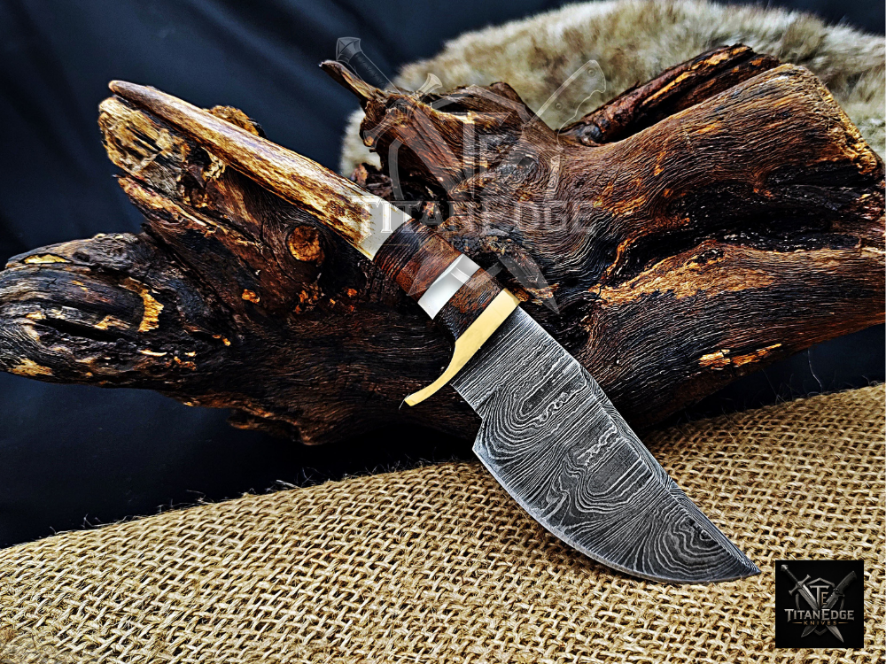 8" Damascus Skinning Knife – Stag & Wood Handle