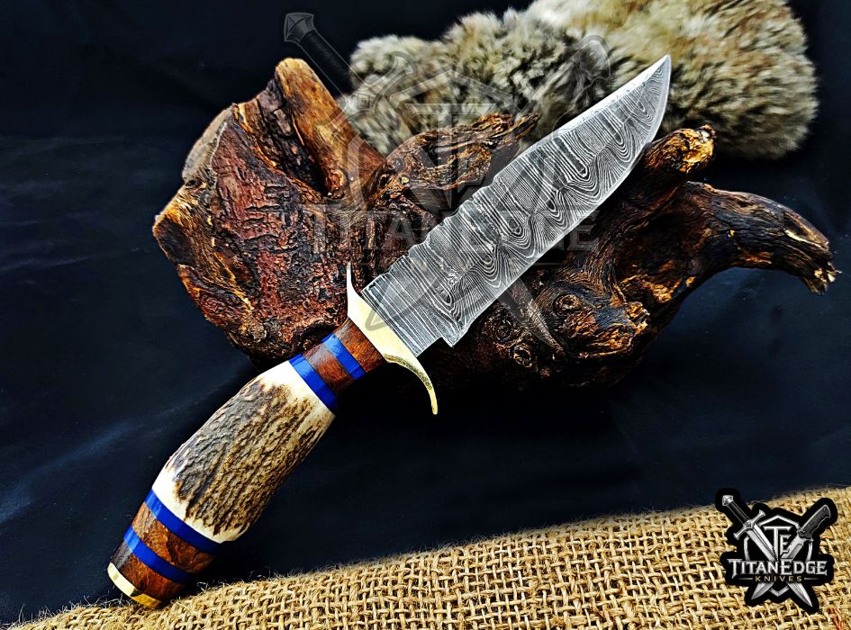 Handmade 10" Damascus Steel Fixed Blade Hunting Knife, Stag Antler Handle, Groomsmen Gift With Leather Sheath