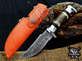 Handmade 8.5" Damascus Steel Fixed Blade Hunting Knife, Stag Antler Handle, Groomsmen Gift With Leather Sheath