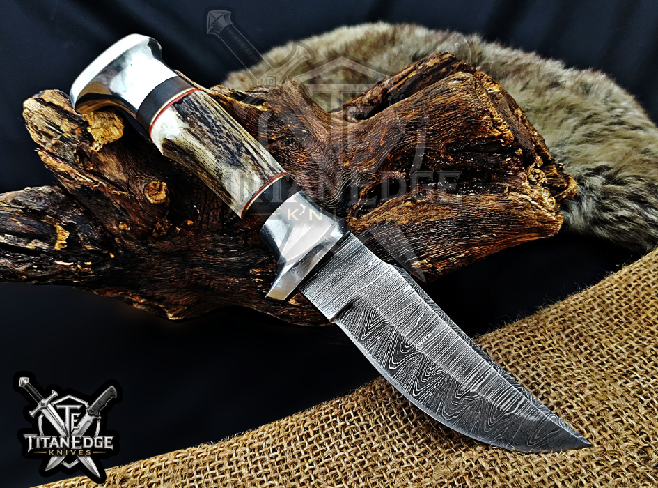 Handmade 8.5" Damascus Steel Fixed Blade Hunting Knife, Stag Antler Handle, Groomsmen Gift With Leather Sheath