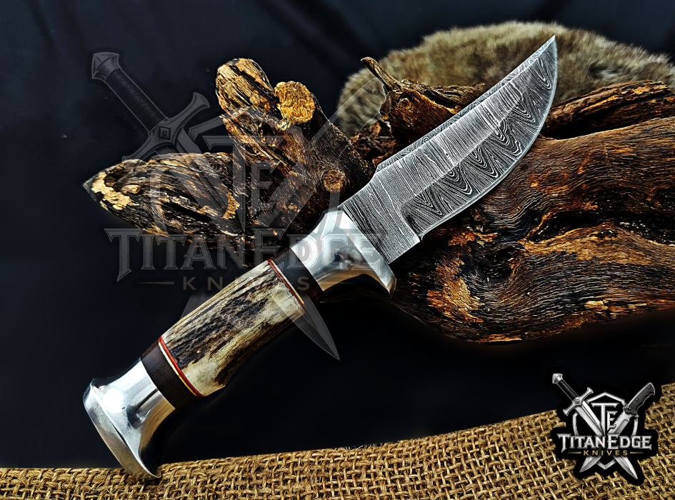 Handmade 8.5" Damascus Steel Fixed Blade Hunting Knife, Stag Antler Handle, Groomsmen Gift With Leather Sheath