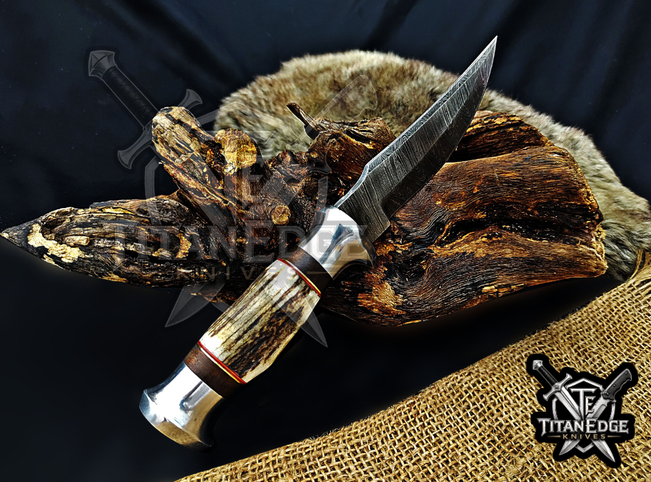 Handmade 8.5" Damascus Steel Fixed Blade Hunting Knife, Stag Antler Handle, Groomsmen Gift With Leather Sheath