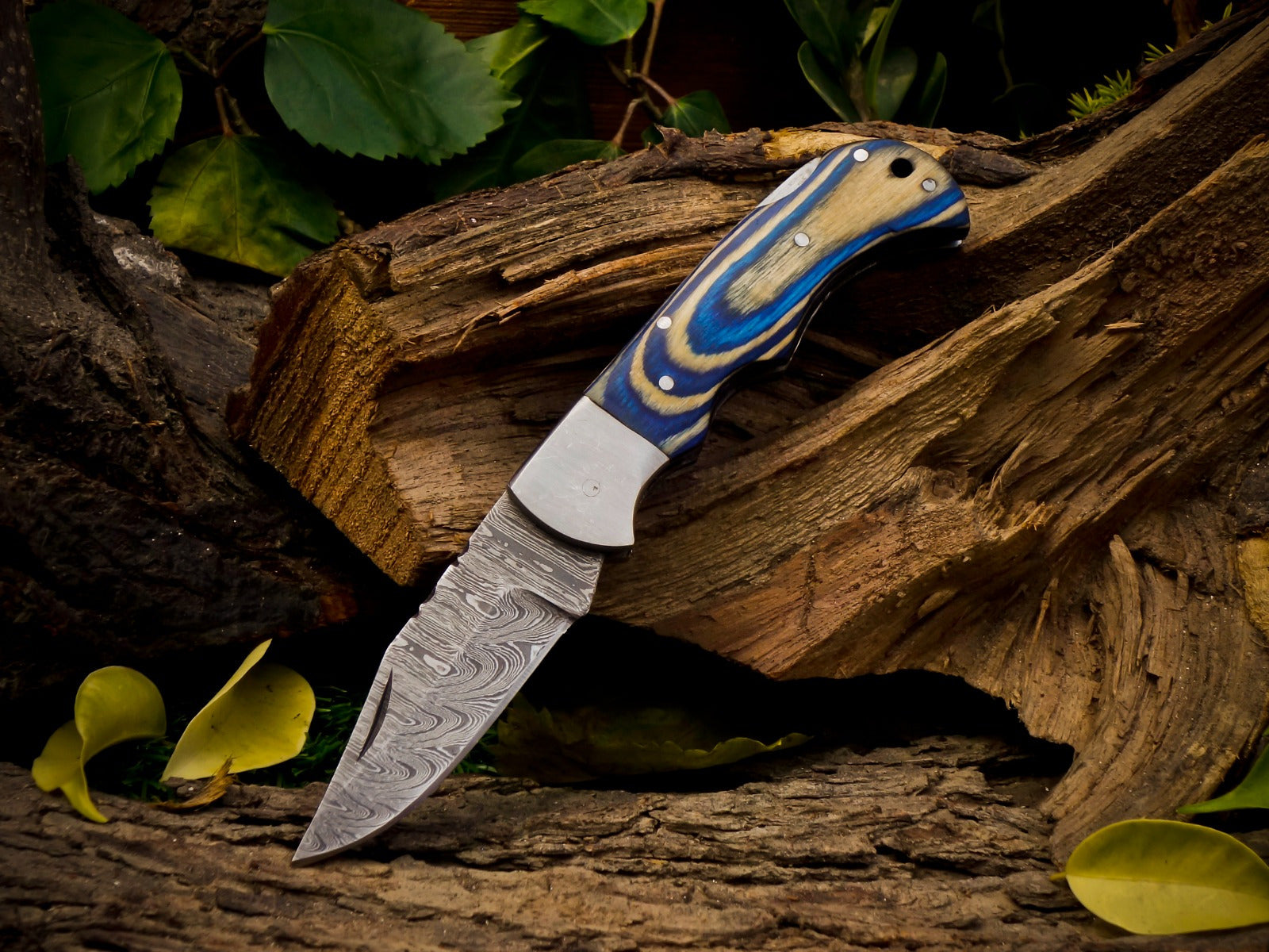 Personalized Handmade 6.75"Damascus Steel Pocket Knife, Folding EDC Hunting Knife, Wood Handle, Groomsmen Gift With Leather Sheath