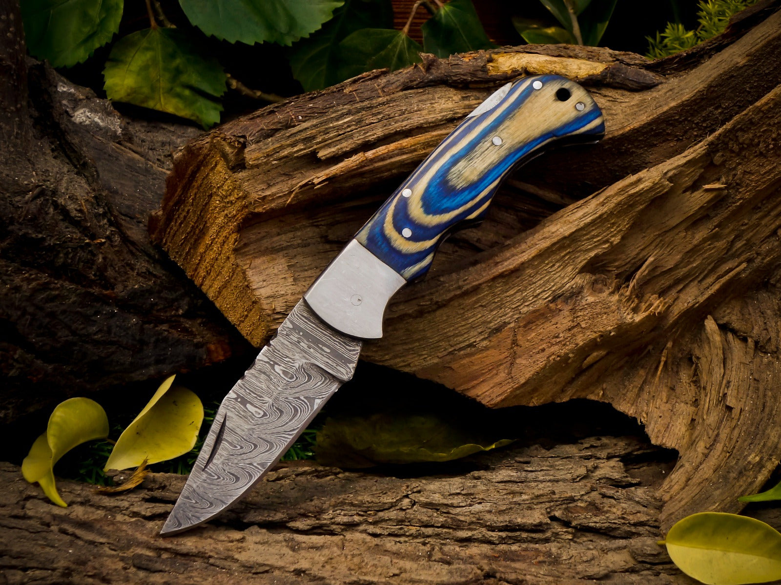 Personalized Handmade 6.75"Damascus Steel Pocket Knife, Folding EDC Hunting Knife, Wood Handle, Groomsmen Gift With Leather Sheath