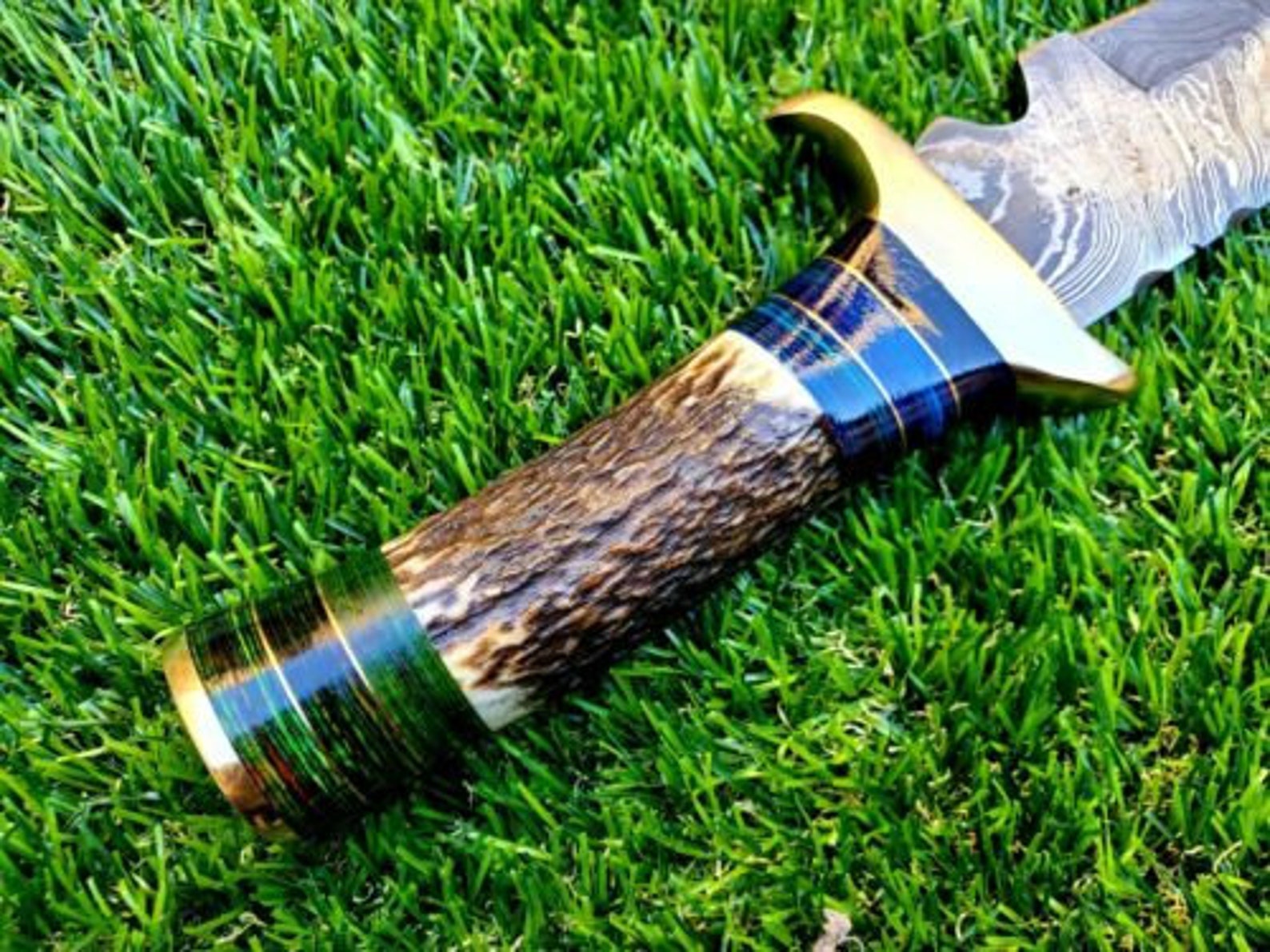 14 inch Custom FORGED DAMASCUS Steel Hunting Knife With Stag and Brass Guard Handle very beautiful knife best gift for Father day