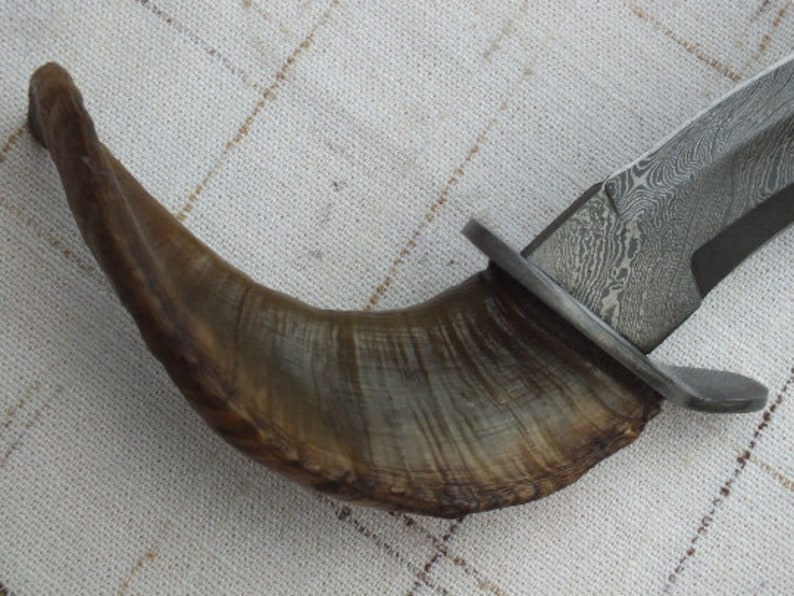 Damascus knife Gift Forged DAMASCUS Steel Hunting Knife With Ram Horn Handle, Gift for him, Outdoor Knife gift